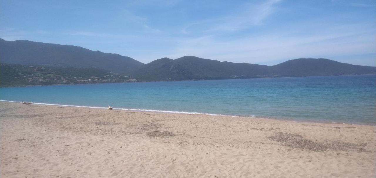 Maison De 4 Chambres De Front De Mer Corse-Du-Sud Appietto Buitenkant foto